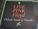 Pink Floyd 2 Sided Record Store 12