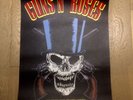 Guns N Roses Appetite For Destruction Lithograph # 113 Not In This Lifetime