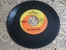 The Beach Boys,45 RPM, Ten Little Indians - CAPITOL - 4880 ,1962, EXC Generic Sl