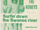 BEACH BOYS HONEYS Surfin Down The Swanee River RARE DENMARK 45 Brian Wilson HEAR