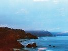 PURE BATHING CULTURE - MOON TIDES NEW VINYL