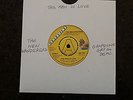 ? The New Wanderers   This Man In Love   Grapevine Demo   1979 ?