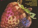 STRAWBERRY ALARM CLOCK - BEST OF THE STRAWBERRY NEW VINYL