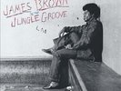 IN THE JUNGLE GROOVE NEW VINYL