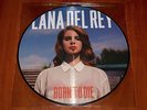 LANA DEL REY BORN TO DIE LP *RARE* PICTURE DISC VINYL POLYDOR 2013 USA LIMITED