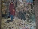 Park In Hee South Korea Jigu Records Folk Art Pop Rock 1974 JLS 120914 Vinyl LP