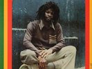 ERROL  FLABBA HOLT - ROOTS  RADICS  DUB -  SELLING SLEEVE  ONLY   IN  EX  COND.
