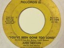Ann Sexton - You've Been Gone Too Long 45 NORTHERN SOUL FUNK G+