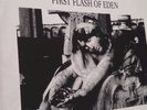 The Doors ?– First Flash Of Eden LP Rare vinyl
