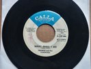 FRANKIE AND THE CLASSICALS What Shall I Do PROMO 45 7