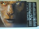 JOHN FOGERTY / EYE OF THE ZOMBIE - Japan LP CCR
