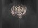 The Weight of Your Love [7/2] * by Editors (Vinyl, Jul-2013, 2 Di