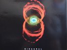 Pearl Jam ?– Binaural (2 LP'S)