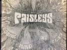 The Paisleys - Cosmic Mind At Play ORIG Vinyl LP Minneapolis Garage/Psych