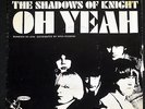 Shadows of The Knight Picture Sleeve Only-Light Bulb Blues-1960s-YBBR