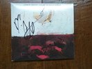Conor Oberst autographed album Upside Down Mountain