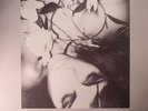 VOID VISION - Sub Rosa - Vinyl (LP)