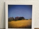 Sun Kil Moon - Benji [2LP] [Yellow]
