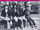 RAMONES Carbona Not Glue (1991) 7” Single SUB POP Purple Cover w/ BUTTON Insert