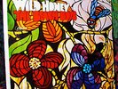 SEALED 1967 ORIG ? The Beach Boys ? WILD HONEY ? CALIF BREEZY POP GEM 