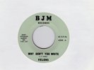 Velons-Why Don't You Write/Summer Love (Rare Soul)  45rpm Record