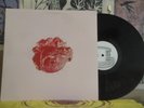 BLACK MOTH SUPER RAINBOW, LOST PICKING FLOWERS IN THE WOODS - LP GRAVE018 PSYCH