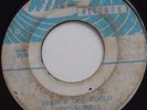 SKA BLUES ROCK ROLL JAZZ - BUSTERS SHACK / ERIC MORRIS - SEARCH THE WORLD - WIRL