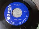 Jimmy Rogers My Last Meal/Rock This House blues rockers beaut 45 Chess mp3