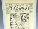 THE BEATLES  :  Spicy Beatles Songs? 12”   LP  Vinyl  Record