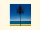 The  English Riviera by Metronomy.