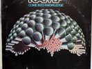 LP ?? RAMP ? come into knowledge ? 1977 ?? 12