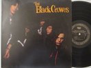 THE BLACK CROWES 
