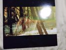 1st PRESSING Camp LP by Childish Gambino Donald Glover Vinyl, 2011 Glassnote