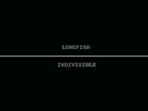 LUNGFISH - INDIVISIBLE NEW VINYL RECORD