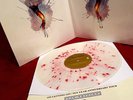 circa survive on letting go 10 year vinyl saosin turnover silverstein chon plini