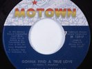 70s Soul 45 BOTTOM & COMPANY Gonna Find A True Love MOTOWN VG+ HEAR