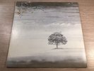 LP Charisma ?– 9124 003 Genesis ?– Wind & Wuthering GERMAN VINYL 1976 / 1 PRESS