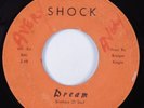 Northern Soul 45 BROTHERS OF SOUL Dream SHOCK HEAR