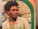 Pure Rankin by Horace Andy 1979 Vinyl Clocktower Records 1st Press
