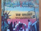 DJ Skye Presents The Breaks Vinyl LP Beastie Boys De La Soul MF Doom Sampled BDP