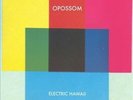 Electric Hawaii by Opossom.