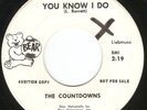 HEAR Countdowns-You Know I Do/Strange Are The Shadows '66 IA WILD PUNK+MOODY GEM