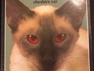 BLINK 182 Cheshire Cat LP VINYL 1ST PRESSING RED EYES EDITION - RARE