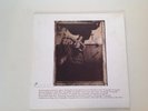 Pixies - Surfer Rosa 12
