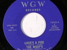 WERP'S: Love's A Fire / Shades Of Blue 45 Hear  (Garage Psych) rare Rock & Pop
