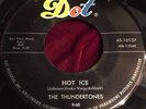THE THUNDERTONES 
