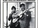 JOHNNY YOUNG & BIG WALTER - Chicago Blues - 1968 France LP Arhoolie