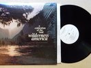 WILDERNESS AMERICA private LP modern soul funk Iasos hear