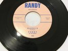 Kenny and The Cadets - Barbie/What Is A Young Girl * Randy Surf 45 Beach Boys