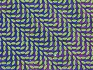 ANIMAL COLLECTIVE - MERRIWEATHER POST PAVILION 2 VINYL LP NEW